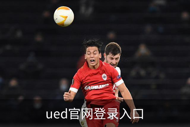 ued官网登录入口 公司简介